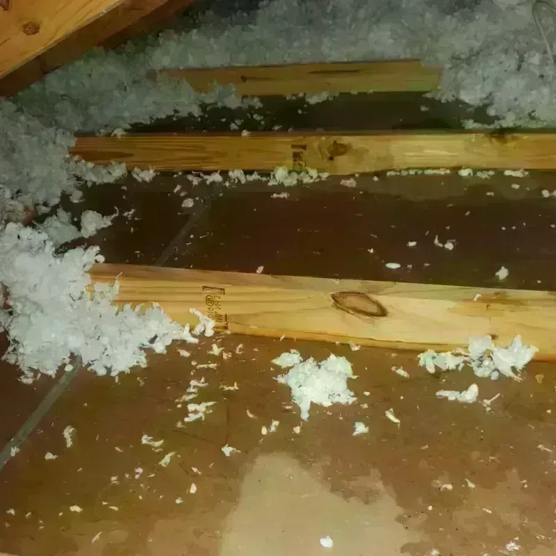 Attic Water Damage in East Dundee, IL