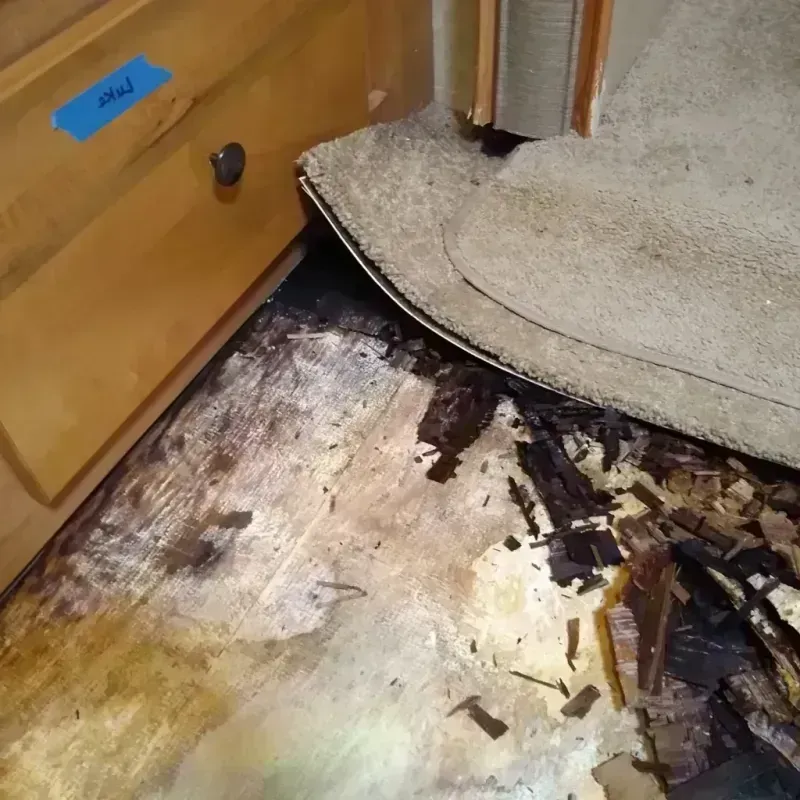 Wood Floor Water Damage in East Dundee, IL